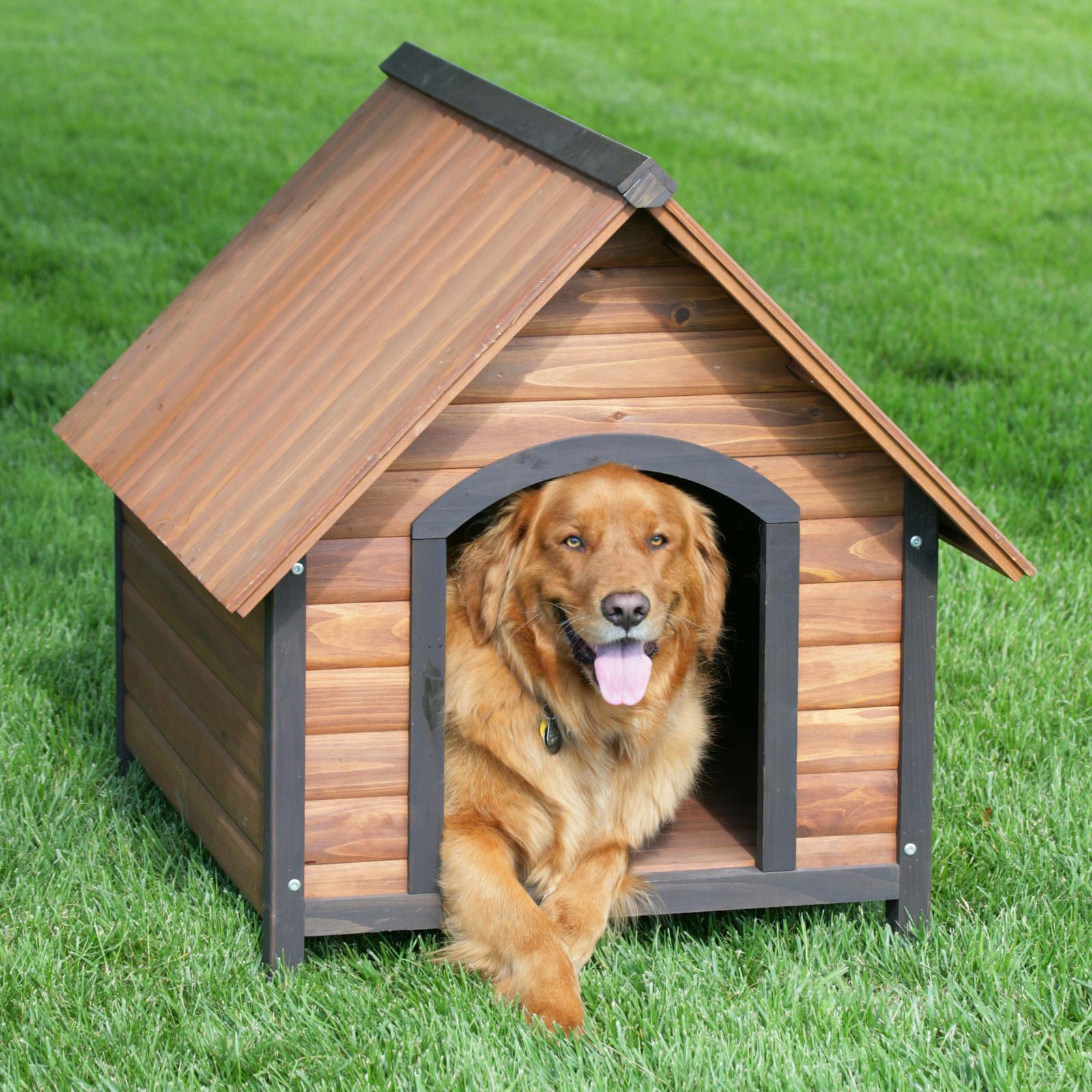  By Step Instruction On How To Build A Dog House [VIDEO] « eZeLiving